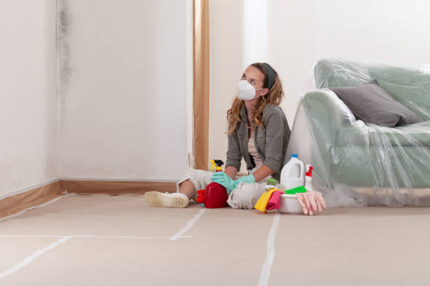 Reliable Mold Inspection And Testing contractor in Midland, TX by Mold Remediation HQ